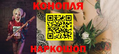 прущие грибы Моздок